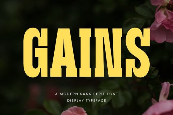Gains Font: A Modern Display Typeface for Web Design