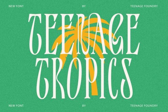 Teenage Tropics Vintage Serif Font for Crafters