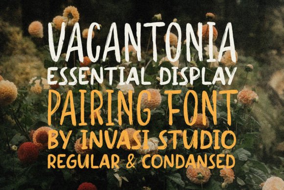 Vacantonia: Bold Brush Typeface for Campaigns