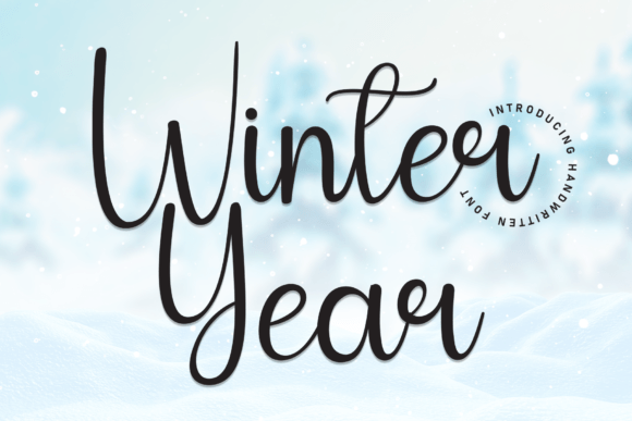 Winter Year Font for Small Business Branding